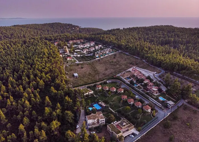 Sani Polyastron & 4*